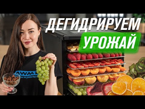 Видео: Как сохранить урожай: сушка фруктов, овощей, ягод, грибов в дегидраторе RAWMID RMD-10 и RCD-06