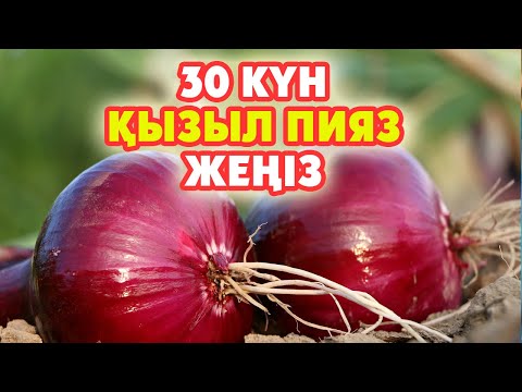 Видео: 30 Күн бойы Қызыл Пияз жесеңіз қандай өзгеріс болады, Қызыл пияздың 7 пайдасы, қызыл пияз