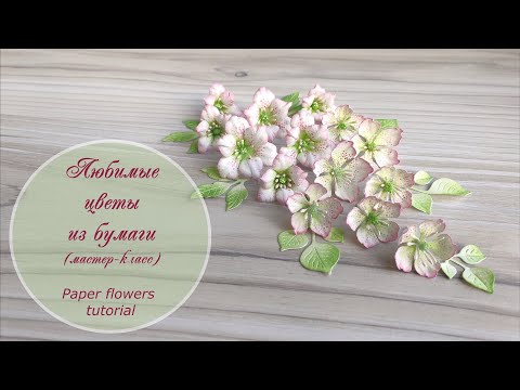 Видео: Любимые цветы из бумаги / Paper flowers tutorial