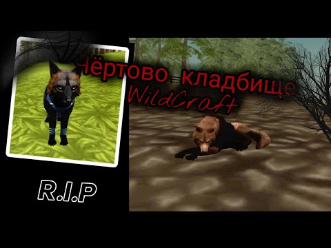 Видео: Страшилка WildCraft чёртово кладбище