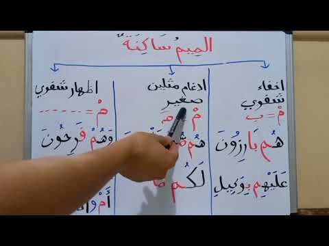 Видео: Сукундуу мим эрежеси