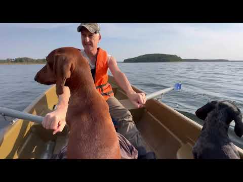 Видео: Дикарями по Беларуси🇧🇾Рыбалка🎣Браславские озера