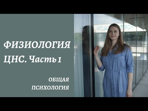 Видео: Физиология центральной нервной системы. Основные моменты. Часть 1.