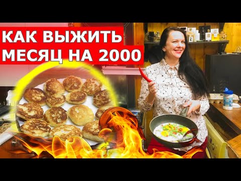 Видео: ВЫЖИТЬ на 2000 рублей в МЕСЯЦ!!! (день12-13) Закупка в ДИКСИ