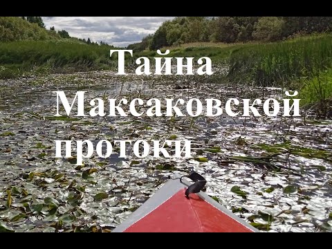 Видео: Тайна Максаковского полоя