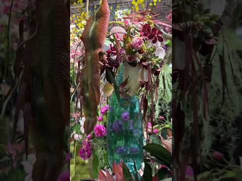 Видео: НОВАЯ МОРСКАЯ КОЛЛЕКЦИЯ в «Театре Цветов Марины Петровой» @theatre_flowers🌊