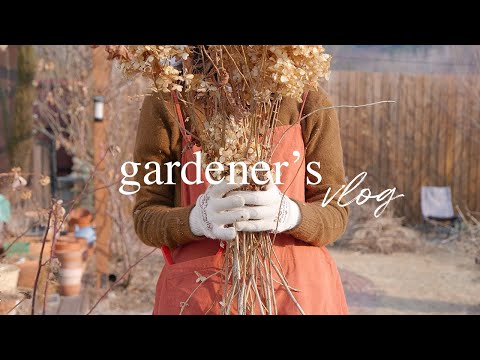 Видео: 6 важных садовых дел перед окончанием марта | Наконец-то, первое садоводство в этом году! 🌿