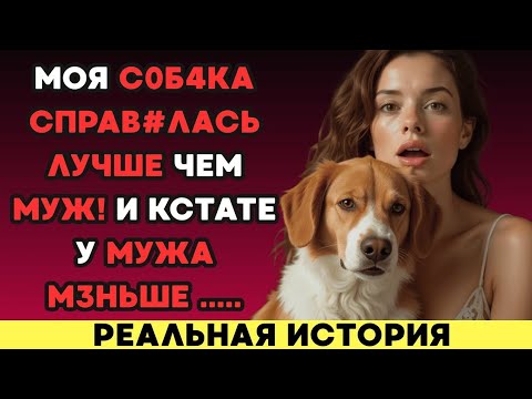 Видео: Собака лучше мужа...