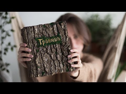 Видео: ТРАВНИК МАШЕРИШИ 🌿 | Masherisha
