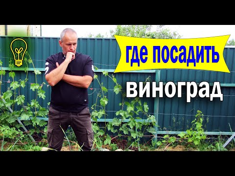 Видео: 🔴🔴Где посадить виноград.  Выбираем место для посадки винограда.