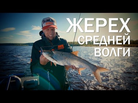 Видео: Ловля жереха на большой реке в начале лета.