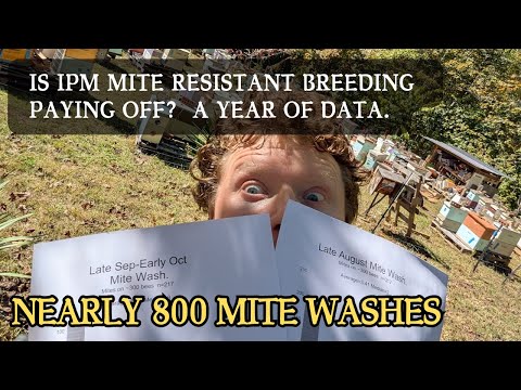 Видео: Эффективна ли программа разведения растений, устойчивых к клещам IPM? Подсчёт численности клещей.