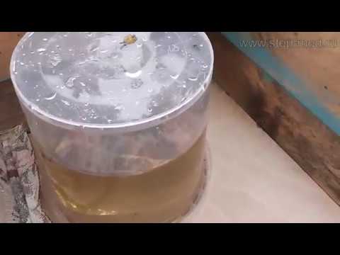 Видео: Дозированная кормушка для пчел