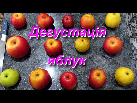 Видео: Дегустація 14 сортів яблук / Сорти яблук які добре зберігаються / Apple tasting