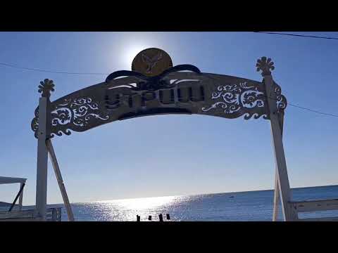 Видео: Большой Утриш. 1 Ноября 2025 года. Репортаж Светланы Тихоновы.