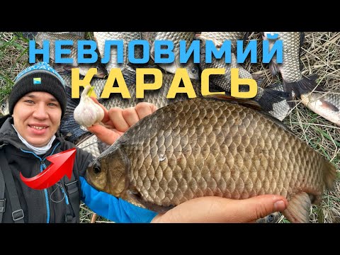 Видео: ⚠️ВСІ КАРАСІ В ОЧЕРЕТІ💥 ФІДЕРНА РИБАЛКА 2023🎣