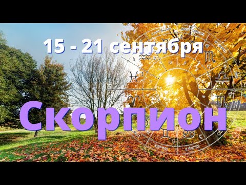 Видео: СКОРПИОН ♏️Прогноз таро на неделю с 15 по 21 сентября.