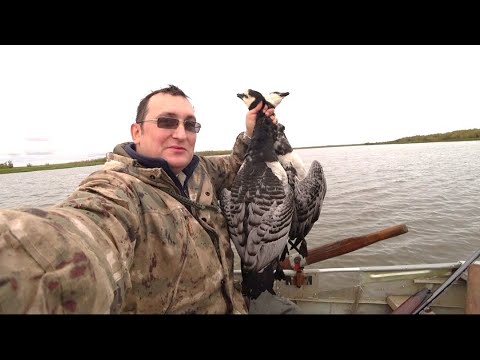 Видео: ОХОТА НА ГУСЯ И УТКУ / ПОЕХАЛ ЗА УТКОЙ, А ДОБЫЛ ГУСЕЙ / ОХОТА ОСЕНЬ 2020 / Hunting