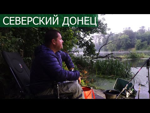 Видео: Ночная рыбалка на реке / Кемпинг Северский Донец