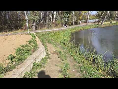 Видео: Золотая осень, парк Ла Извор.