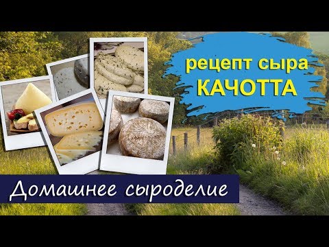 Видео: Домашнее сыроделие. Сыр Качотта/Caciotta из Козьего молока.  Подробный рецепт!