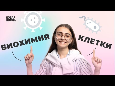 Видео: Биохимия клетки