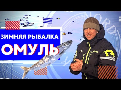 Видео: Рыбалка на омуля зимой | Рыбалка на  Северном Байкале | Nord Baikal
