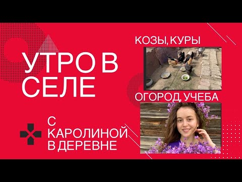 Видео: Пару часов из нашего дня