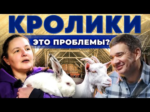 Видео: Кроличья ферма без вложений. Мясные кролики. Козья ферма. Бизнес в деревне. Андрей Даниленко