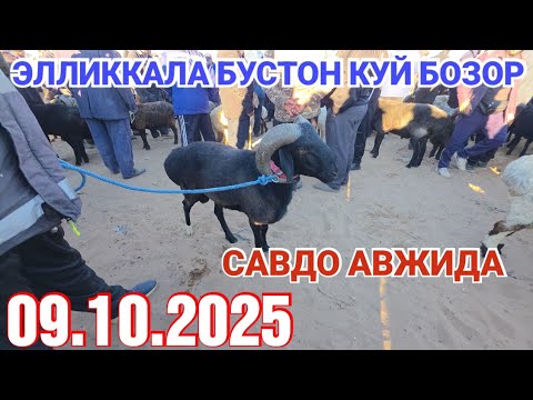 Видео: 9 октября 2025 ЭЛЛИККАЛА БУСТОН КУЙ БОЗОР САВДО АВЖИДА