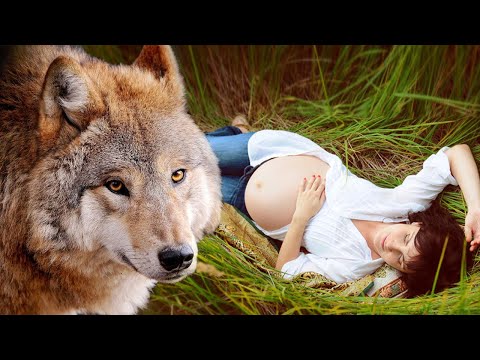 Видео: В тот момент, когда у женщины начались схватки, из кустов вышел ОН