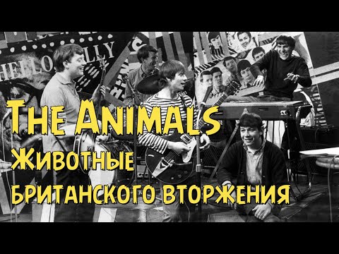 Видео: The Animals - Животные британского вторжения