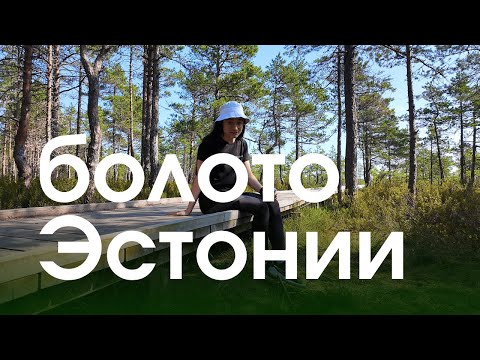 Видео: Искупалась в эстонском болоте, почему эстонцы купаются в болоте Viru raba