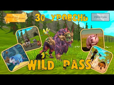 Видео: 30 уровень Wild Pass, НОВЫЕ ИСТОРИИ и новый приятель 🌷 WildCraft