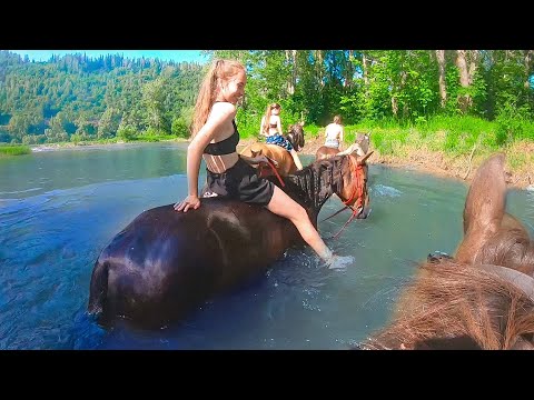 Видео: КУПАЕМСЯ С ЛОШАДЬМИ и Жеребятами На Речке / Клип