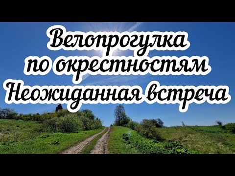 Видео: Велопрогулка по окрестностям 🚴 Неожиданная встреча 🤔