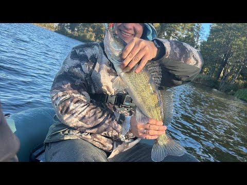 Видео: СУДАКИ??😍😍 ЗНАЙШЛИ ЗУПИНКУ СУДАКА!! ТАКОГО КЛЬОВУ НЕ ОЧІКУВАВ НІ ХТО! 