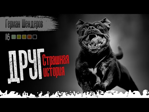 Видео: История На Ночь - Друг. Страшные истории