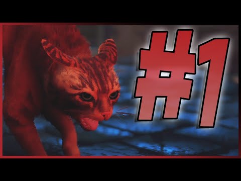 Видео: Прохождение Stray - Часть 1 | PS4, PS5, PC 60 FPS