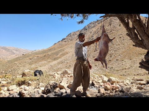 Видео: Кочевая жизнь Ирана: путешествие Джахангира на пастбища и бойня по приготовлению мяса в горах