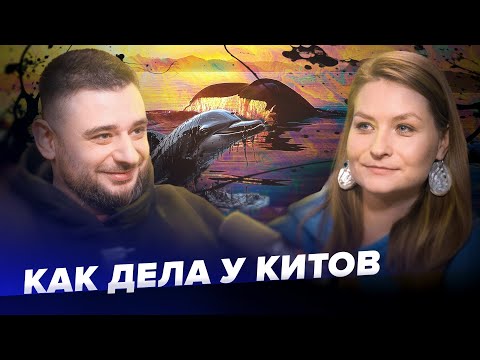 Видео: КАК ДЕЛА У КИТОВ? Правда о встречах с китами и спасении дельфинов |Анастасия Куница | Сортировочная