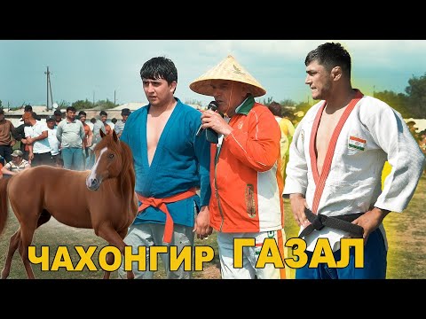 Видео: ГАЗАЛ ВА ЧАХОНГИР БАРОИ АСП МУБОРИЗА БУРДАН ГУШТИНИ УЯЛИ. GUSHTIN 2025