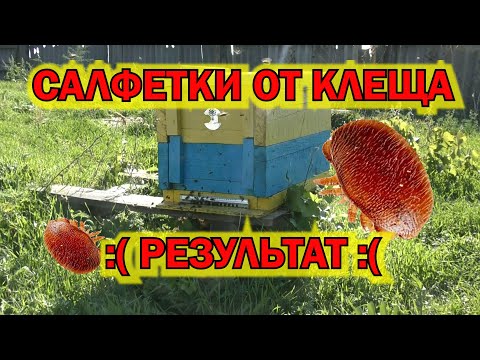 Видео: САЛФЕТКИ ОТ КЛЕЩА. РЕЗУЛЬТАТ.