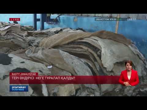 Видео: Тері өндірісі неге тұралап қалды?