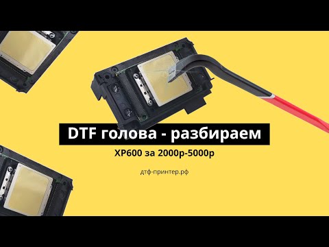 Видео: 🛠️Разбираем голову в DTF принтере, смотрим манифолд. Epson xp600 #dtf  #printhead