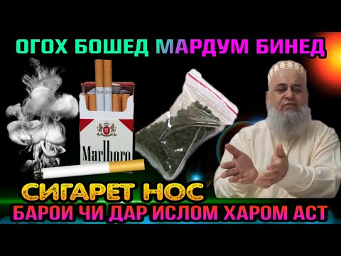 Видео: ОГОХ БОШЕД МАРДУМ НОС ВА СИГАРЕТ БАРОИ ЧИ ХАРОМ АСТ! ХОЧИ МИРЗО 2022