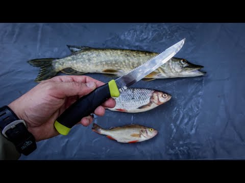 Видео: РЫБАЛКА, ЧИЩУ ЩУКУ, ГОЛАВЛЯ И ОКУНЯ MORAKNIV FISHING COMFORT SCALER 150