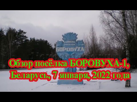 Видео: Обзор посёлка БОРОВУХА-1, Беларусь, 7 января, 2022 года