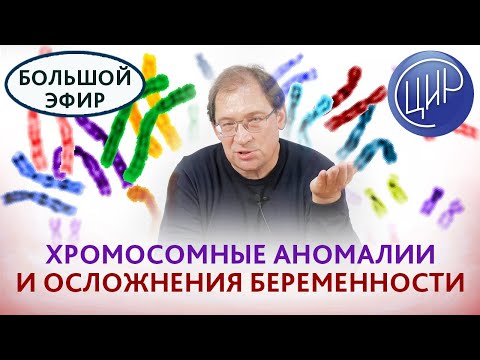 Видео: Эти хрупкие хромосомы. Хромосомные аномалии и риск осложнений беременности. Рассказывает Гузов И.И.