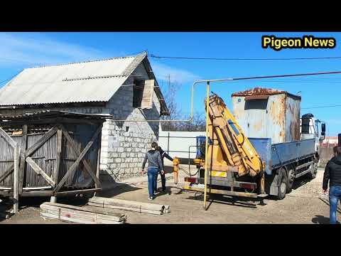 Видео: Лучшая Голубятня из Брошенной Будки